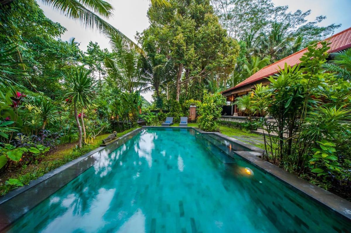 Luxury 3Br Infinity Jungle View Aashaya Villa Ubud Exterior foto