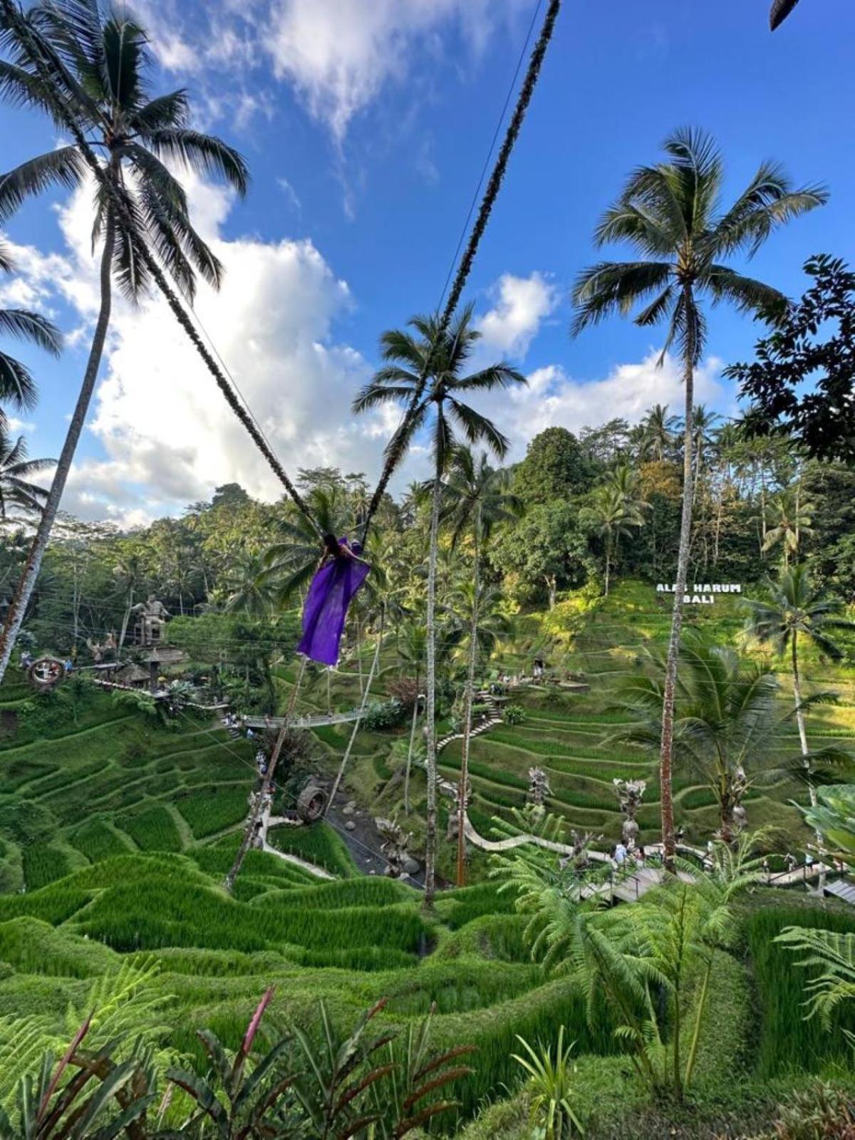 Luxury 3Br Infinity Jungle View Aashaya Villa Ubud Exterior foto